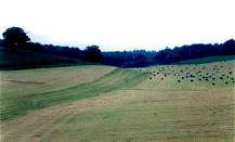 crosscountry2