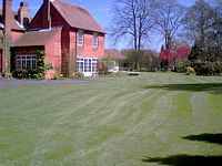 lawn
