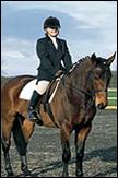 dressage