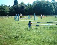 showfield