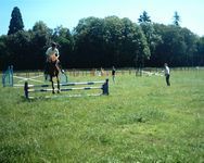 xcjumpingpaddock