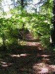 newtrail