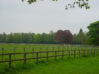 liveryfield