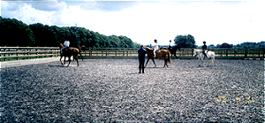 training